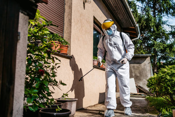 Trusted San Felipe, TX Pest Control Experts